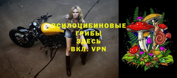 спиды Заволжск