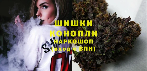 дурь Ельня