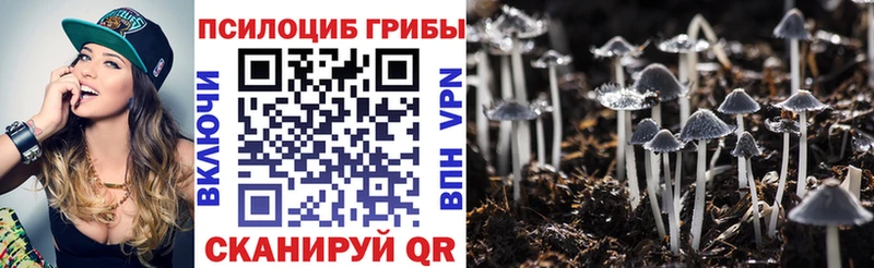 Купить где  Тамбов  Галлюциногенные грибы ЛСД 