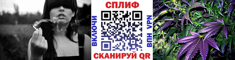 Купить закладки  Тамбов  Бошки Шишки ГИДРОПОН 